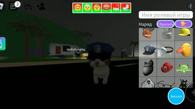 мы с супер про играем в роблокс в симулятор pet party смотреть онлайн