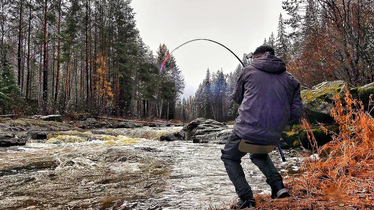 В ЯМЕ ТОННА РЫБЫ! НЕ УНЕСТИ УЛОВ! ЗАЦЕПЫ ОЖИВАЮТ ОПЯТЬ! Ловля налима на стук осенью на удочку смотреть онлайн