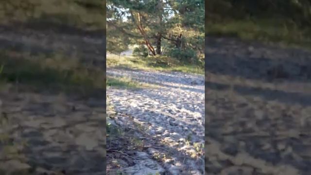 Лауласмаа.Конец мая 2018. смотреть онлайн