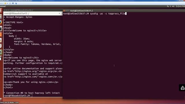 sysdig and csysdig demo with multi-container Docker application смотреть онлайн
