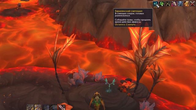 Фарм Скопление спор Заралека WoW Dragonflight #blizzard #вов #goldfarm #wow