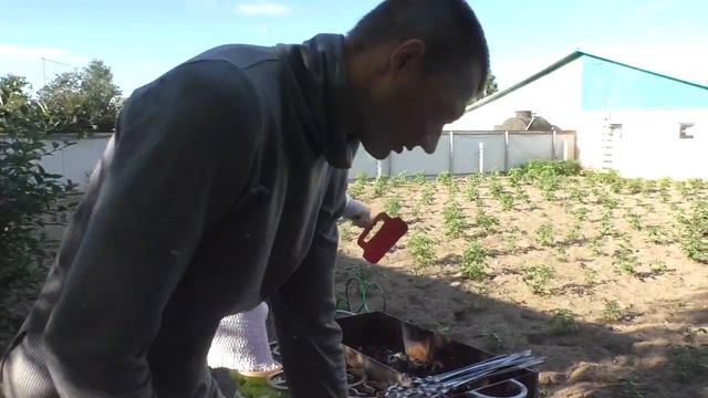 День рождение мужа | Годовщина свадьбы детей |С днём святых Петра и Павла! смотреть онлайн