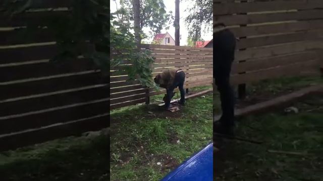 Забор деревянный с горизонтальной зашивкой смотреть онлайн