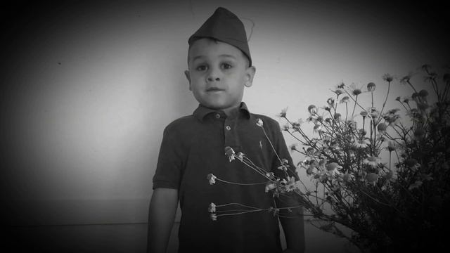 Роберт Рождественский « На земле безжалостно маленькой....» смотреть онлайн