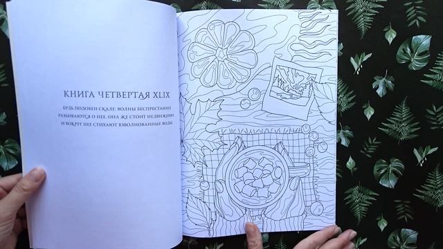 Обзор раскраски Наедине с собой смотреть онлайн