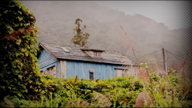 Mozart, Serenata Nº 7 en Re mayor, 'Haffner', K250 смотреть онлайн