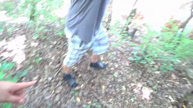 [Экз. №228] Следы вмешательства на старом игольном заводе смотреть онлайн