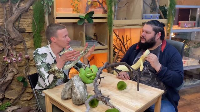 Животные в "неволе"? Моральные аспекты содержания! (часть 1) смотреть онлайн