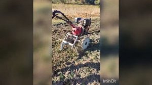 Плоскорез для мотоблока.