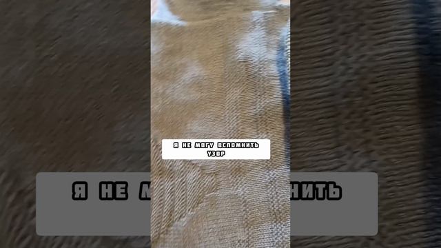 20 лет, а ПАМЯТИ НЕТ😀
А как у вас с памятью?