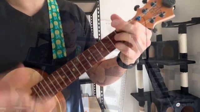 Can't Buy Me Love - Koaloha Opio Spruce Tenor Ukulele смотреть онлайн