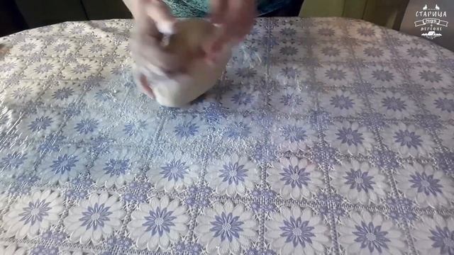 Животные в Зоопарках