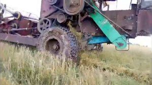 "Grain harvest 2019" Уборка зерна трактор МТЗ и прицепной комбате ПН 100.Żniwa zbóż