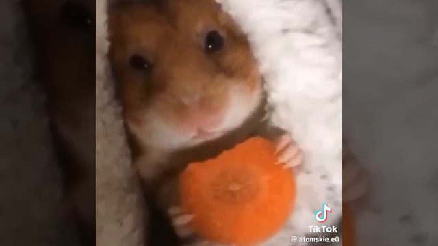 я в 3 часа ночи смотреть онлайн