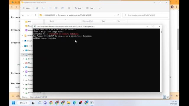 CS295 - Wk6 - Setup SQLITE смотреть онлайн