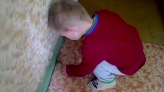 Знакомство с животными Стрекоза смотреть онлайн