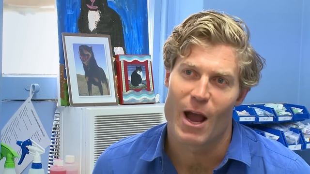 Top 5 Baby Animal Rescues ??| Bondi Vet Compilation | Bondi Vet смотреть онлайн