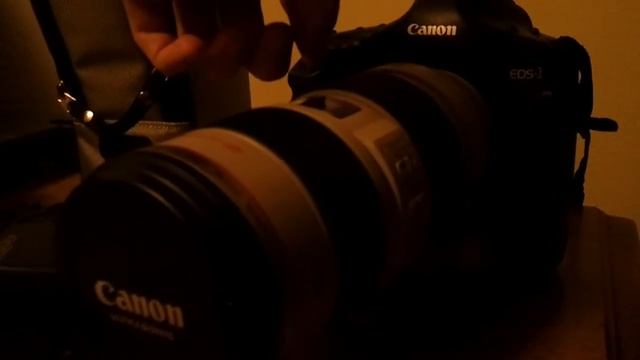 1D Mark II + 70-200 2.8 IS Burst смотреть онлайн