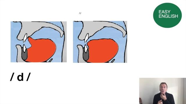 /t/  And /d/  Sounds British English Pronunciation - Are You Omitting Them ?