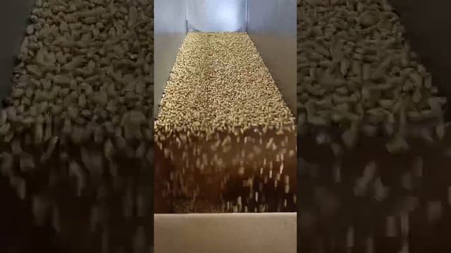 Вибропитатель из нержавейки +7-909-276-88-66, 8-800-500-40-02 Vibromash.com смотреть онлайн