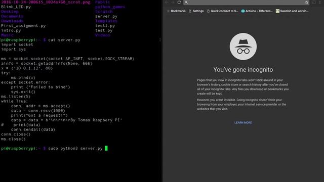 Server by python смотреть онлайн