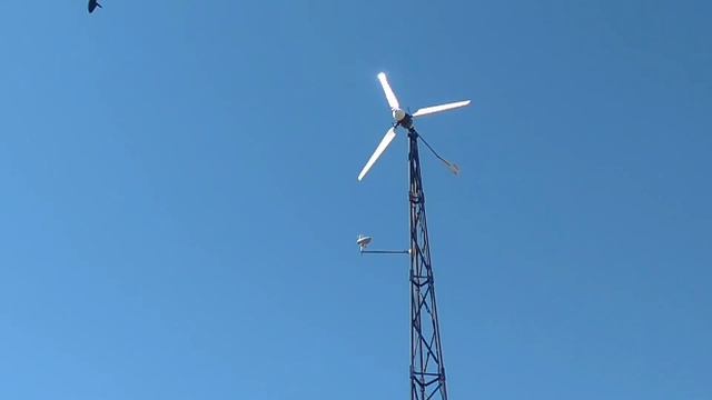 Неожиданный эффект ломанного хвоста на ветрогенераторе смотреть онлайн