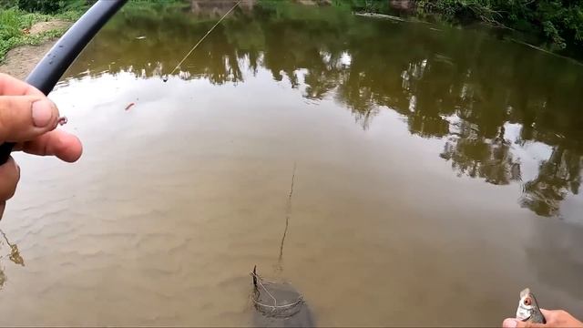 Рыбалка на поплавок на речке 30 мая 2023 смотреть онлайн