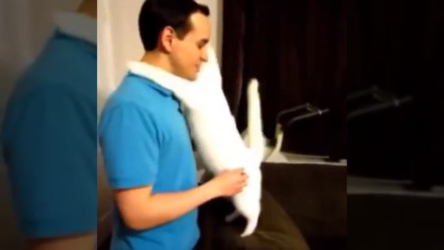 Все Животные Чувствуют Любовь )) смотреть онлайн