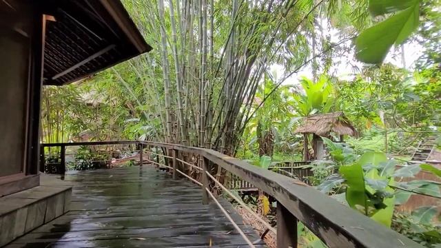 The Yoga Barn | The Best Yoga Studio and Healing Retreat Centre in Ubud, Bali | Bali Travel Vlog смотреть онлайн