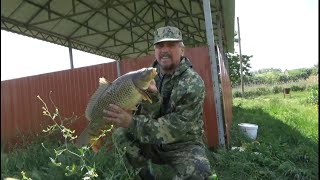 САЗАН на 3.100. РЫБАЛКА на пруду станицы Родниковская КУБАНЬ. Живите в Кайф! смотреть онлайн