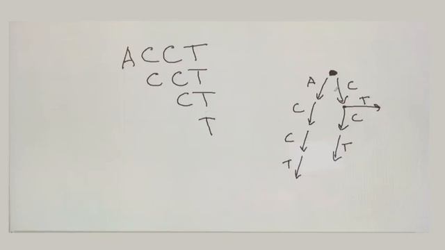 6   8   Суффиксные деревья Suffix Trees