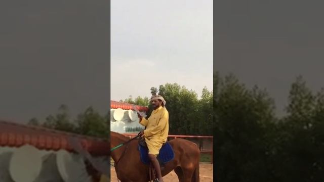 قصيدة الشاعر أبو وضحى في علي العسكري و عياله