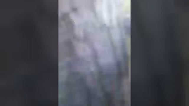 Медведь напал на человека смотреть онлайн