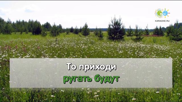 шумел камыш караоке смотреть онлайн