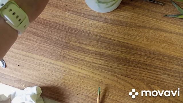 08.04.2023 г. ПЕРЕСАДКА ОРХИДЕИ-НОВИНКИ НА ФИТИЛЬНЫЙ ПОЛИВ! смотреть онлайн