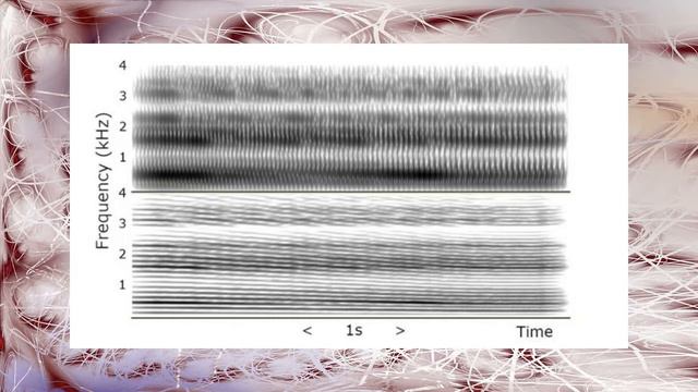 Учёные воспроизвели голос 3000-летней мумии смотреть онлайн