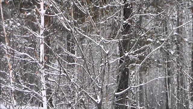 А снег идет Кристалинская смотреть онлайн
