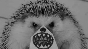 Rickways-я не человек и не горошек я ёжик грустный ёжик(Remix)