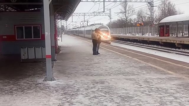Сапсан Москва - СПб проезжает станцию Колпино смотреть онлайн