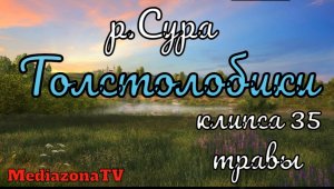 Русская Рыбалка 4 Где Клюет  река Сура  04 12