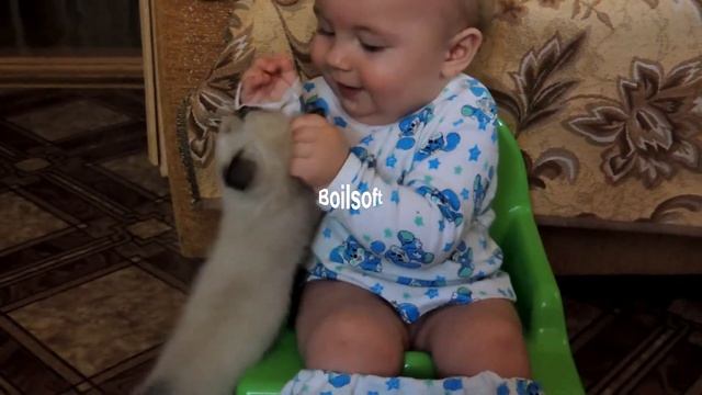 Надавал по сусалам коту.)))) смотреть онлайн
