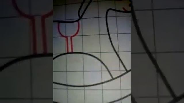 Рисуем по шагово лошадку смотреть онлайн
