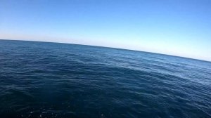 Обзор Shimano 20 Soare Xtune S80L-S