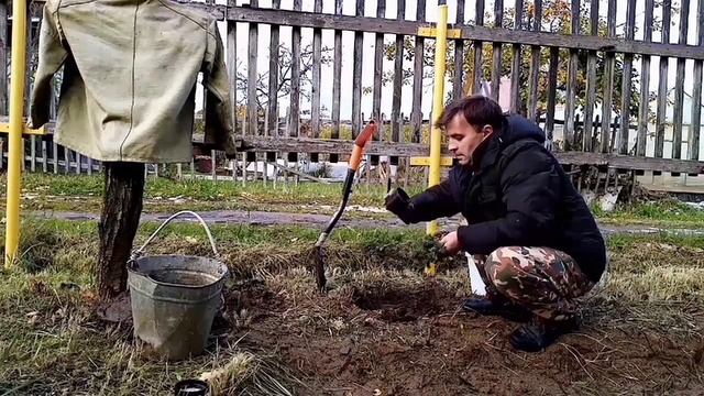 ДЕКОРАТИВНАЯ ЁЛОЧКА. ЕЛКА НА ДАЧЕ. Место и земля для ёлки. смотреть онлайн