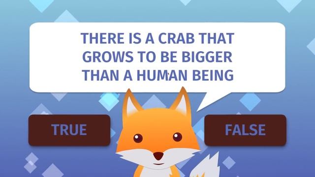 Intro to True or False Universe смотреть онлайн