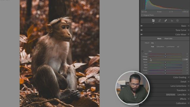 ADOBE LIGHTROOM കളർ ഗ്രേഡിംഗ് പഠിക്കാം: MOODY BROWN смотреть онлайн