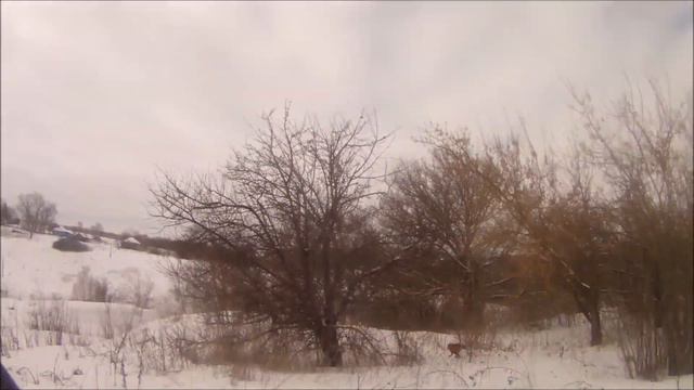 ЭГ Затейка Работа по лисице смотреть онлайн