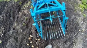 Уборка картофеля Картофелекопалка ККМ-1