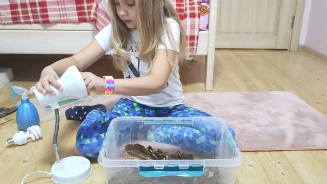 Дом для прыткой ящерицы. Уход за ящерицей. Лампы для ящерицы. смотреть онлайн