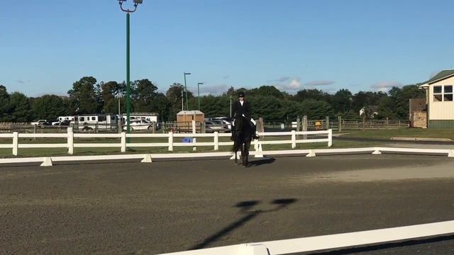 ECRDA Championship Show | September 30, 2017 | USDF Intro Test B смотреть онлайн